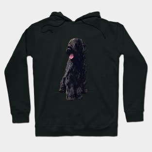 Briard Dog - Black Beauty Hoodie